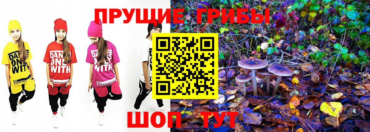 Кисловодск  Псилоцибиновые грибы ЛСД  Вход с VPN 