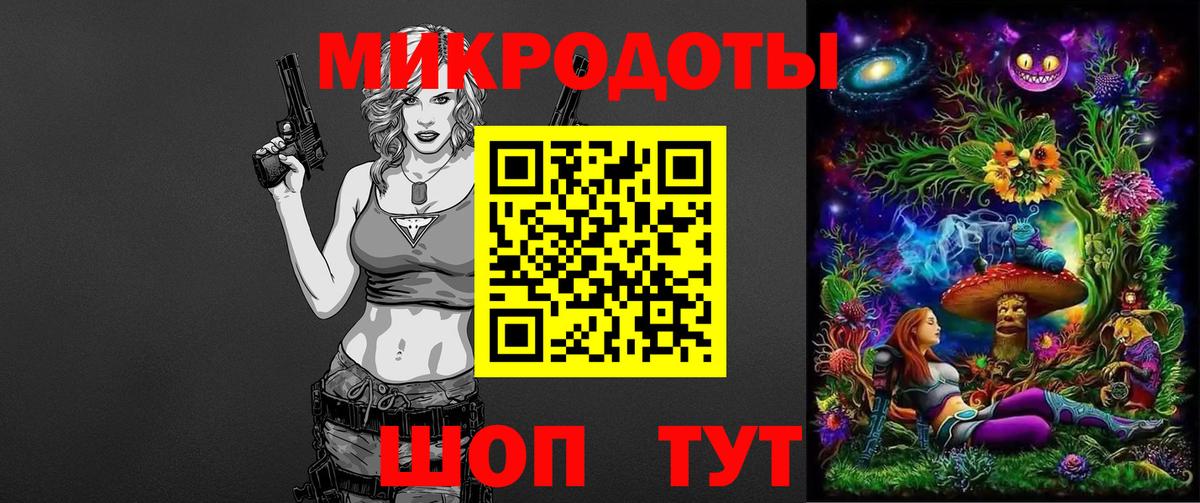 Псилоцибиновые грибы Psilocybe Кисловодск